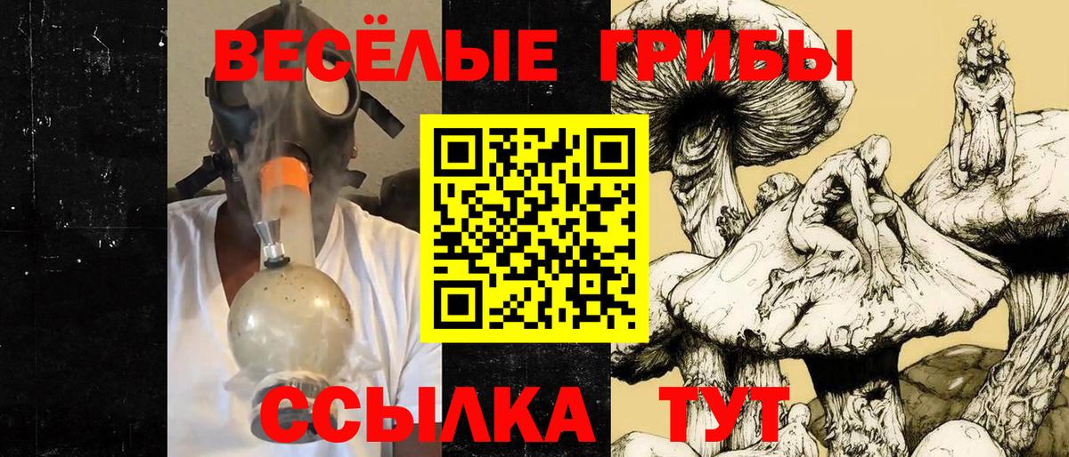 Галлюциногенные грибы Cubensis  Галлюциногенные грибы мицелий  Барнаул  Вход с VPN 